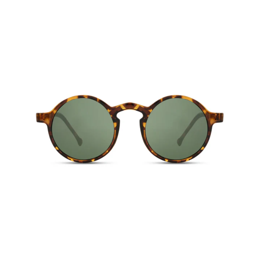 Maggiore Sunglasses.